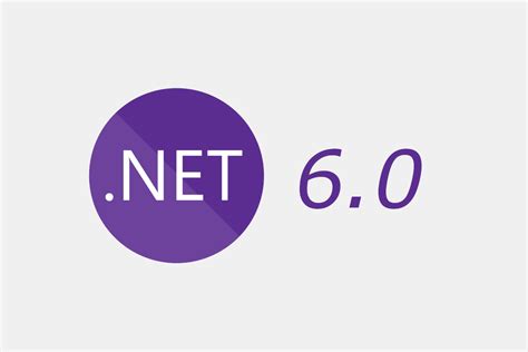 .net6.0