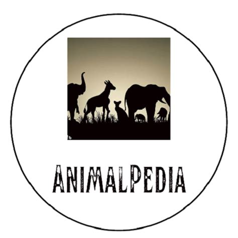 animalpedia