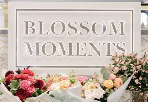 blossom.moments