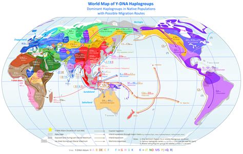 haplogroup