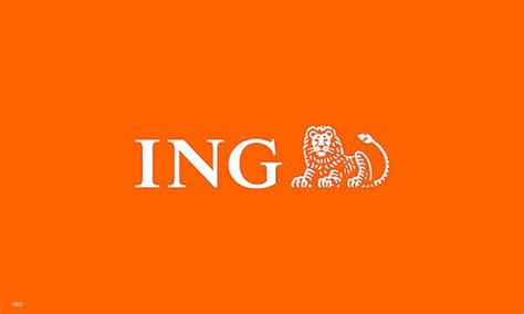 ing.pl