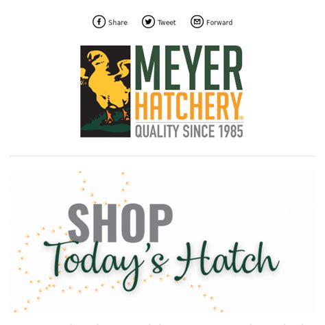 meyerhatchery.com