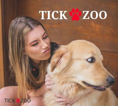 tickzoo