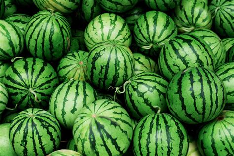 wattmelons