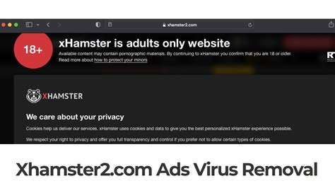 xhamster2